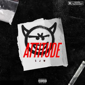 Attitude (Explicit)