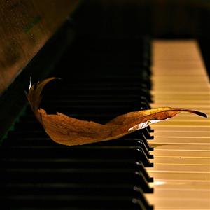 Autumn With Piano (feat. Polina Chornaya)