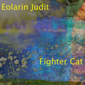 Fighter Cat