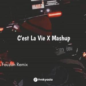 C'EST LA VIE X JUNGGEL MASHUP