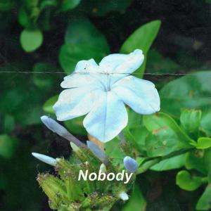 Nobody