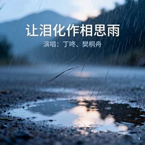 让泪化作相思雨 (对唱版)