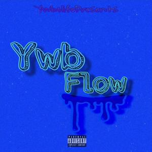 YwbFlow (Explicit)