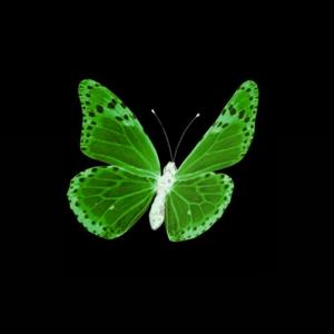 Unwanted Thoughts (feat. J.Wxlf & Kashcpt) (Re-upload) (Explicit)