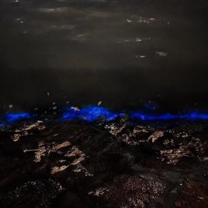 苏小德 - 悲しみの海