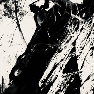 By Blood(feat. Granite State)