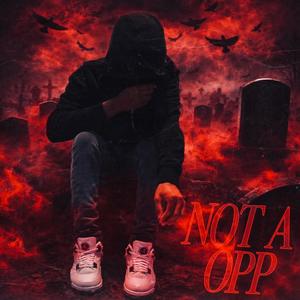Not A Opp (feat. 9sideree & NBM Dolo) (Explicit)