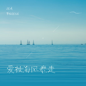 爱被海风吹走