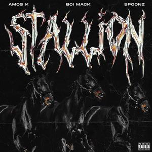 STALLION (feat. Boi Mack & Spoonz) [Explicit]