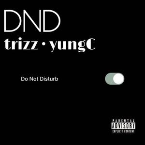 DND (feat. Trizz) (Explicit)