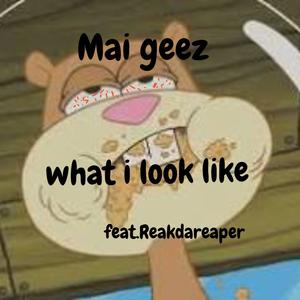 What i look like (feat. Reakdareaper) [Explicit]