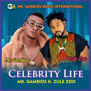 CELEBRITY LIFE (feat. ZULE ZOO)