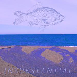 Insubstantial