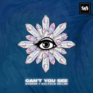 Can't You See (Radio Edit)