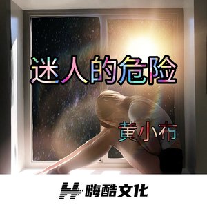 迷人的危险 (DJ黄小布版)