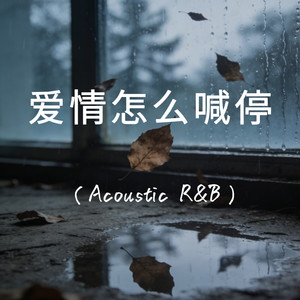 爱情怎么喊停 (Acoustic R&B) - 程隅封面