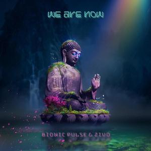 Bionic Pulse & Zivo (We Are Now)