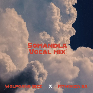 Somandla (Vocal Mix)