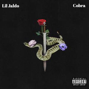 Cobra (Explicit)