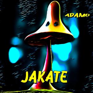 Jakate