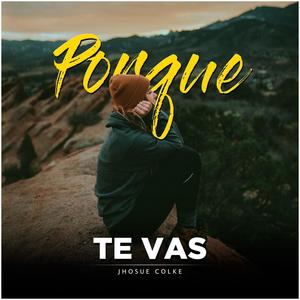 Porque te Vas