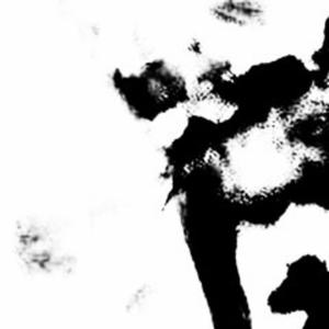 Stay high (feat. Marquise & Zekari) (Explicit)