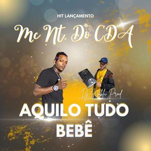 Aquilo tudo Bebê (feat. Mc NT do CDA)