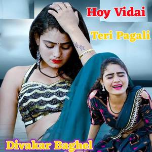 Hoy Vidai Teri Pagali (Explicit)