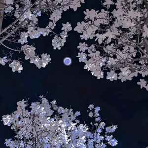 你在,不在(几百天来的热烈)