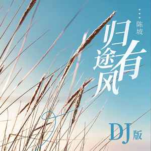 归途有风 (DJ版)