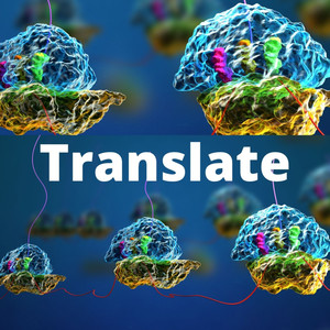 Translate