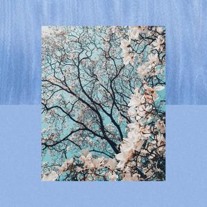past feelings (feat. neptune kid)