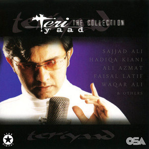 Teri Yaad (The Collection)