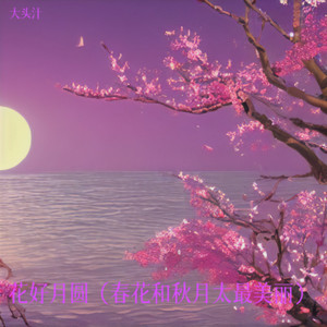 花好月圆（春花和秋月它最美丽）