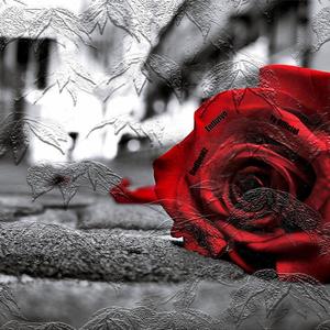 Entliziyo_Official_Audio_-_ (feat. Yv Official)