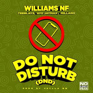 Do Not Disturb (DND) (feat. Teeblayz, Ayo Jaymax & Millano) (Explicit)