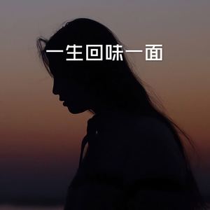 一生回味一面 (DJ版)