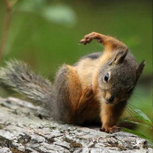 1738 keke mix (feat. Vencí) (Explicit)