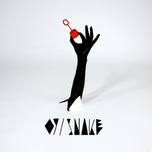 Snake (Reverse Engineering Remix)