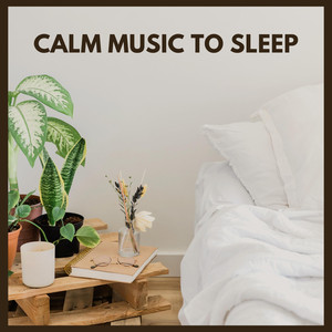 Calm Music to Sleep