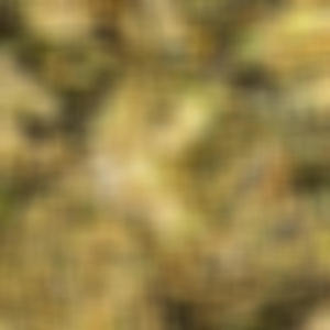 c0nfusedByU (mE?) fr€€style (Explicit)