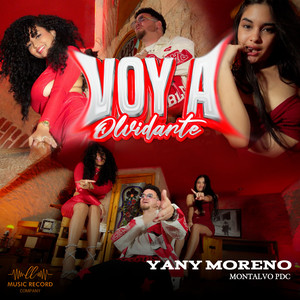 Voy A Olvidarte