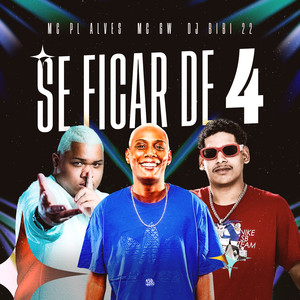 Se Ficar de 4 (Explicit)