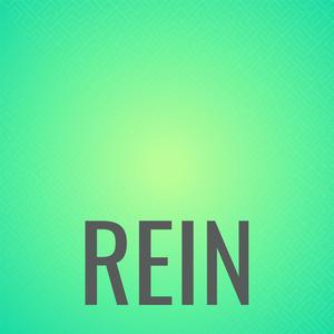 Rein