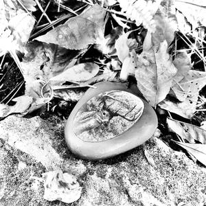 question my self (feat. Lilac Heart) (Explicit)