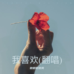 候鸟南飞封面