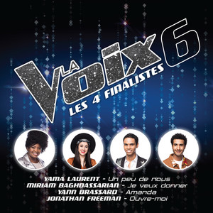 La Voix 6: Les 4 finalistes