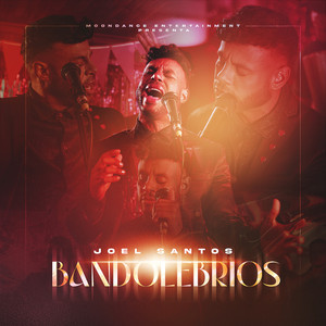 Bandolebrios