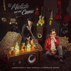 Te Metiste en Mi Cama