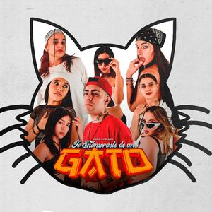 Te Enamoraste de un Gato (feat. Pola DJ)